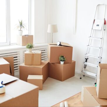 Cross Off Your Moving-Out Checklist with These AVCC Members